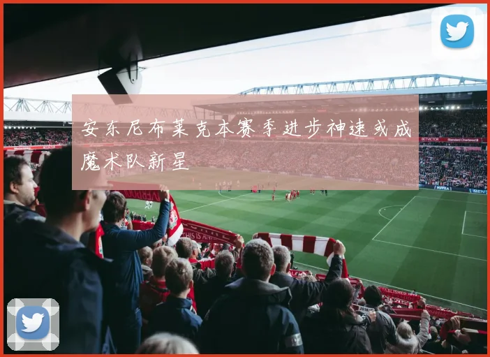 安东尼布莱克本赛季进步神速或成魔术队新星